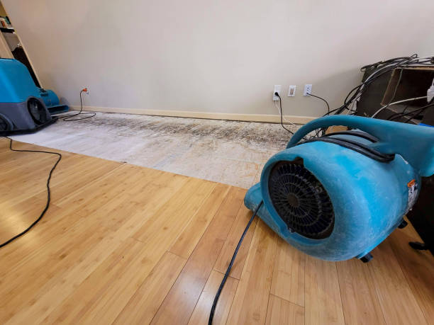 Professional Flood Damage Cleanup technician working in Raymond, MS